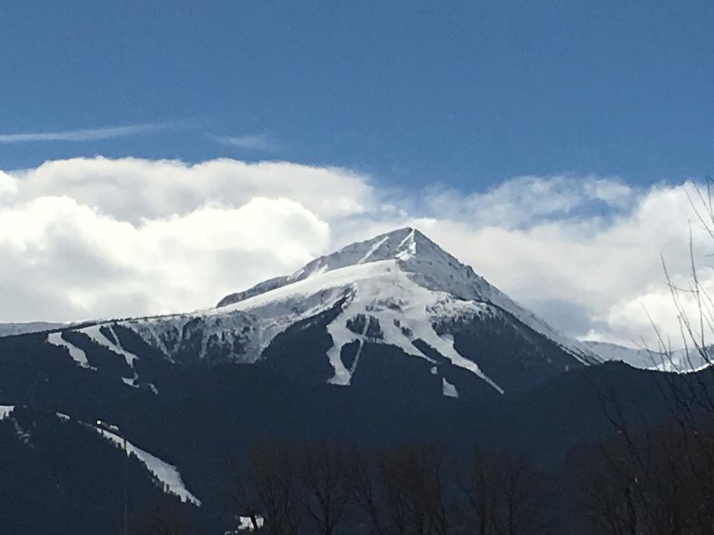 Entire Private Apartment In Pirin Golf & Country Club Bansko Eksteriør billede